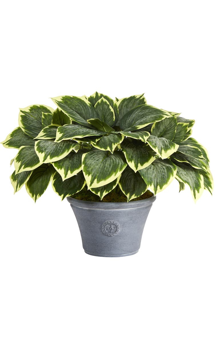 NEARLY NATURAL 23-in Variegated Hosta Artificial Plant in Gray Planter, Main, color, Green