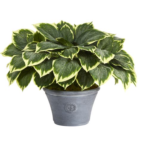 23-in Variegated Hosta Artificial Plant in Gray Planter