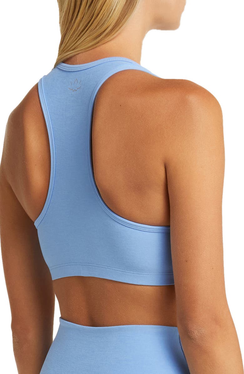 Beyond Yoga Lift Your Spirits Sports Bra, Alternate, color, Flower Blue Heather