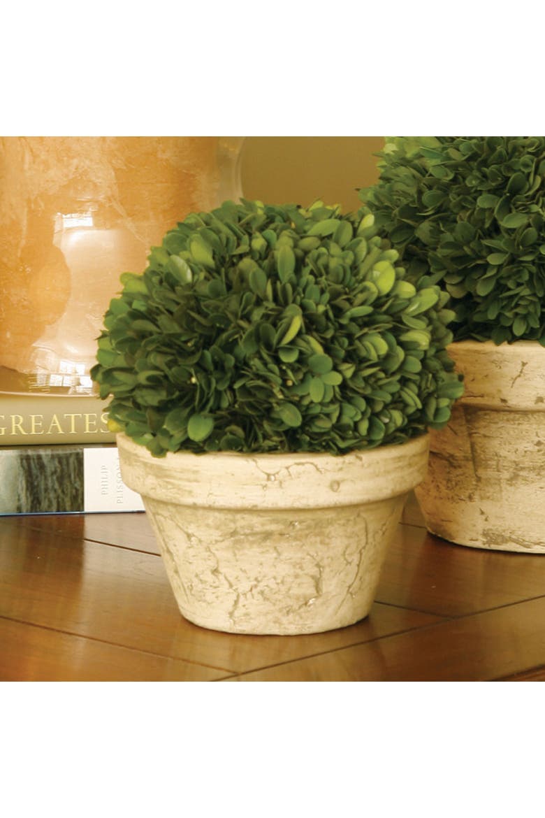 Boxwood Ball In Pot Medium, Alternate, color, Beige