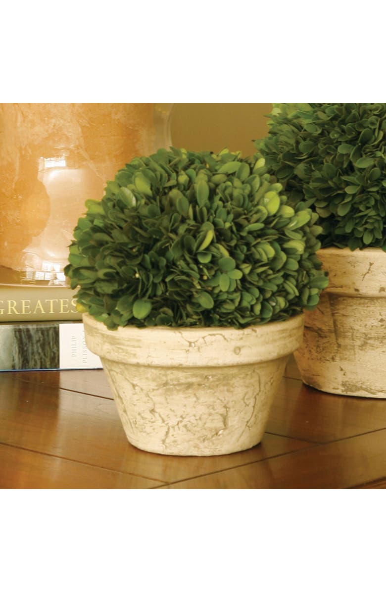Napa Home & Garden Boxwood Ball In Pot Medium, Alternate, color, Beige