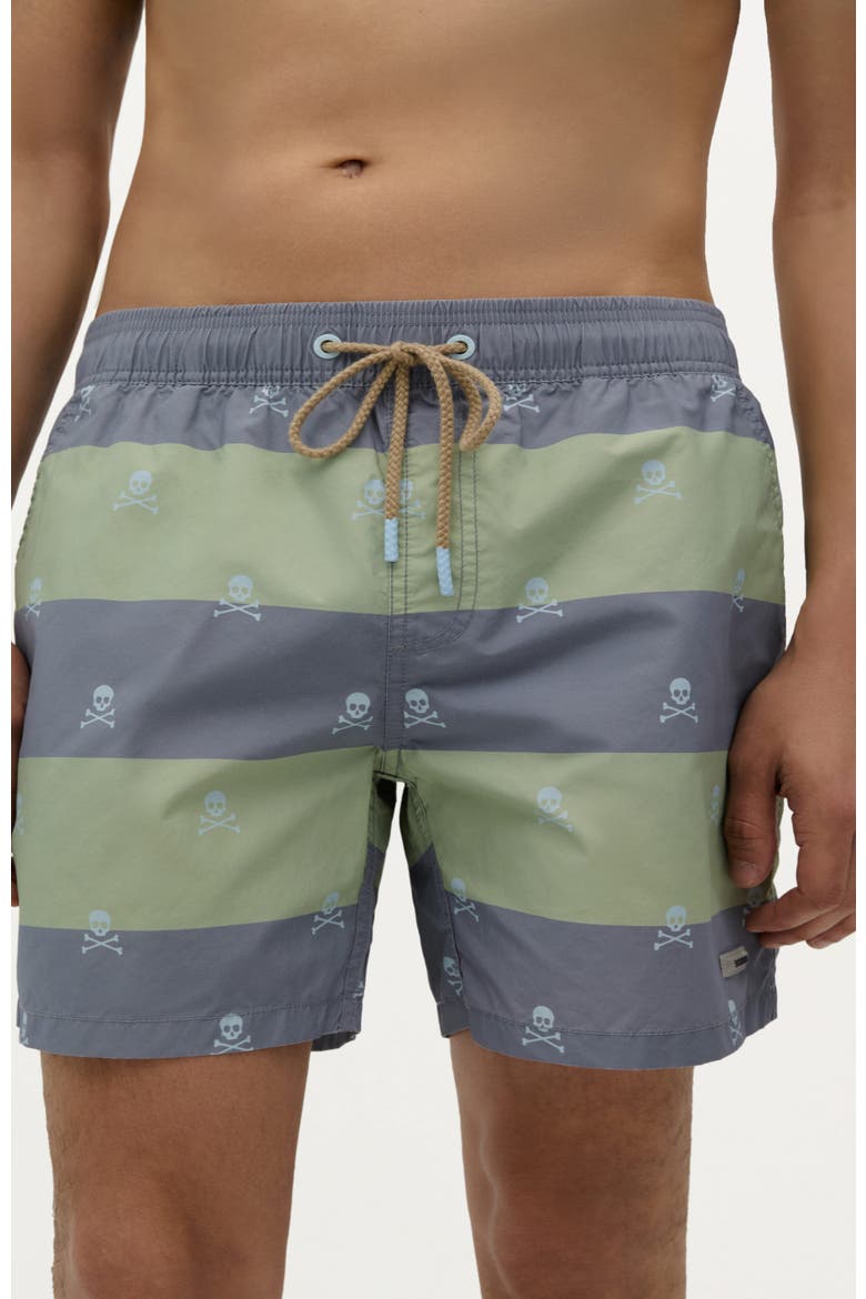 Skull Stripes Swimsuit, Main, color, Greyish Blue