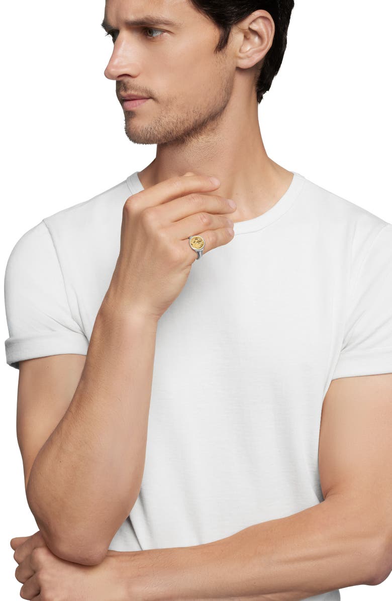 David Yurman 'Petrvs' Lion Signet Pinky Ring, Alternate, color, 