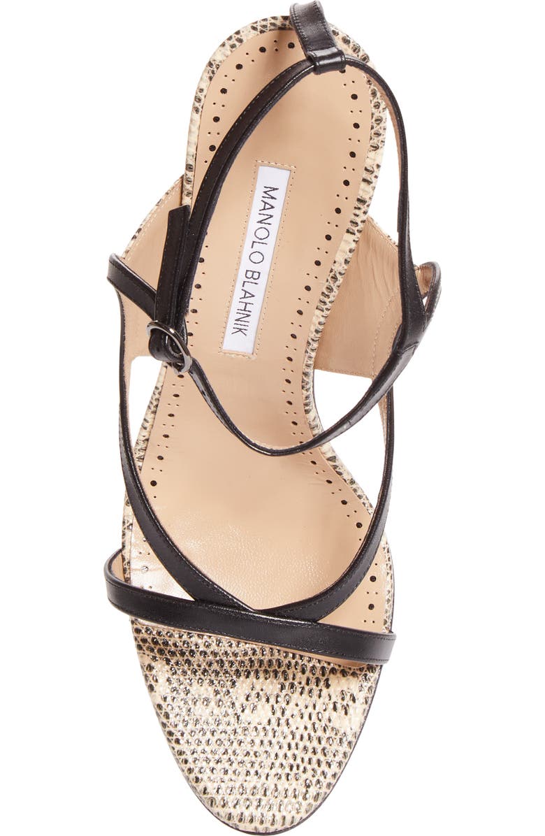 Manolo Blahnik Tibula Ankle Strap Sandal, Alternate, color, Blck 0015/Ypri 906C