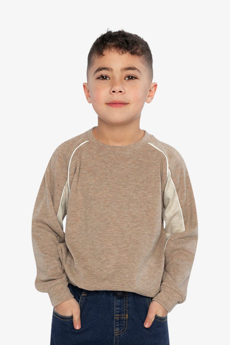 Brushed Jersey Raglan Sleeve Crew Neck Top, Alternate, color, Taupe
