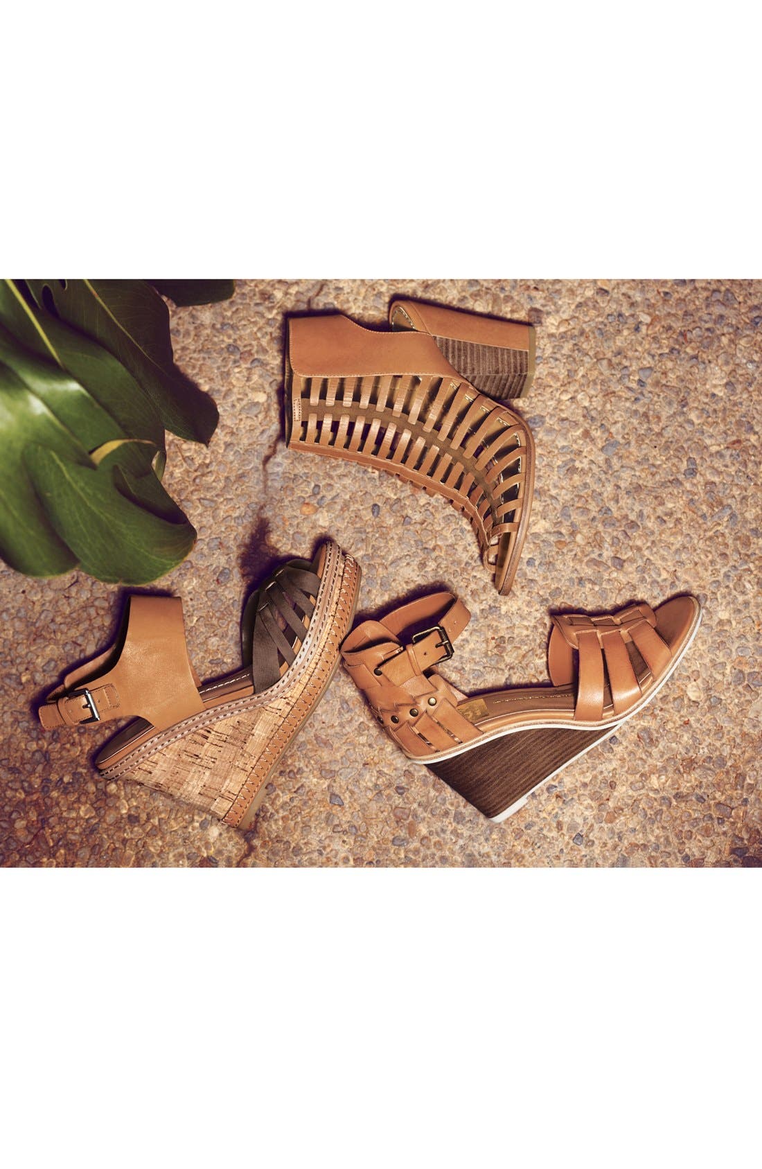 DV by Dolce Vita 'Cho' Wedge Sandal (Nordstrom Exclusive), Alternate, color, BLACK LEATHER