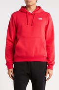 The North Face Evolution Simple Dome Regular Hoodie