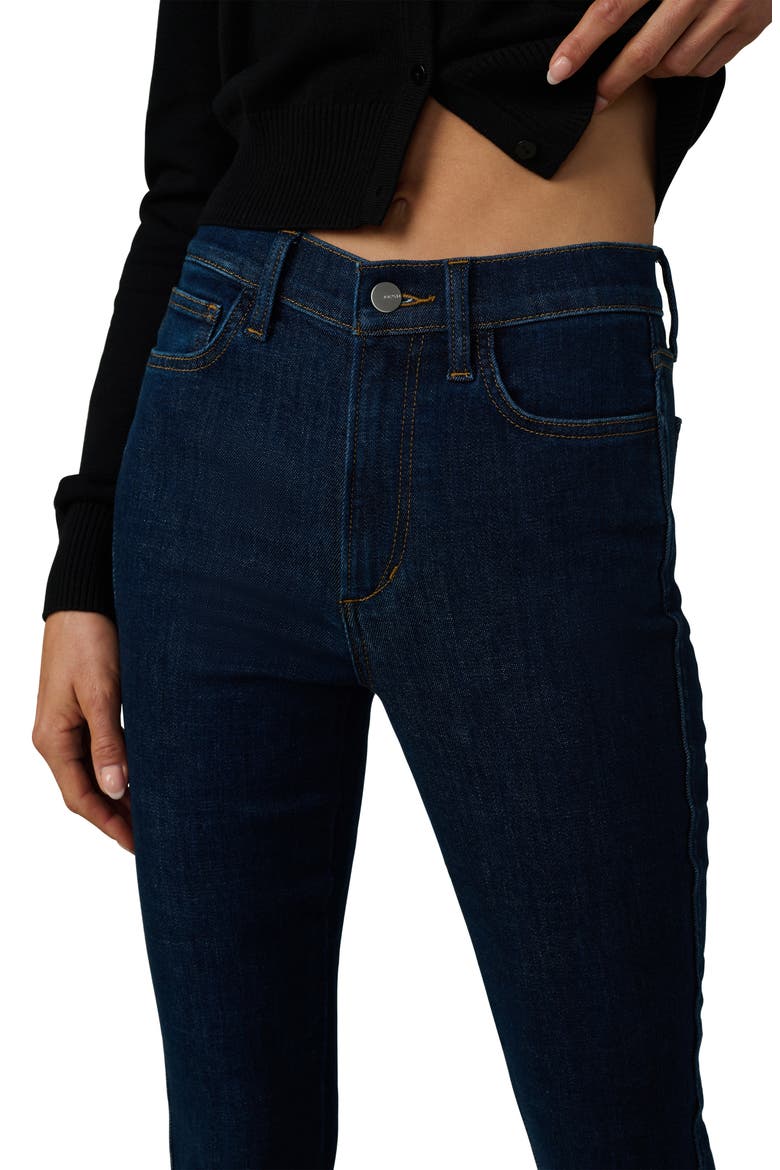 The Charlie Ankle Skinny Jeans, Alternate, color, APROPOS