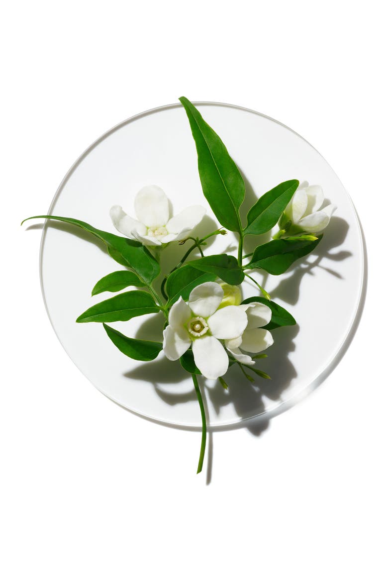 My Happy Peace and Jasmine Fragrance, Alternate, color, NO COLOR