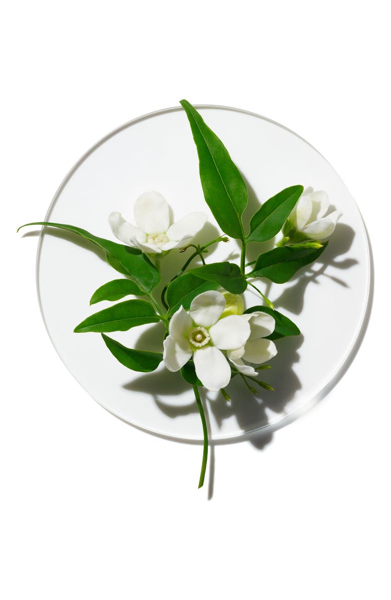 Clinique My Happy Peace and Jasmine Fragrance, Alternate, color, 