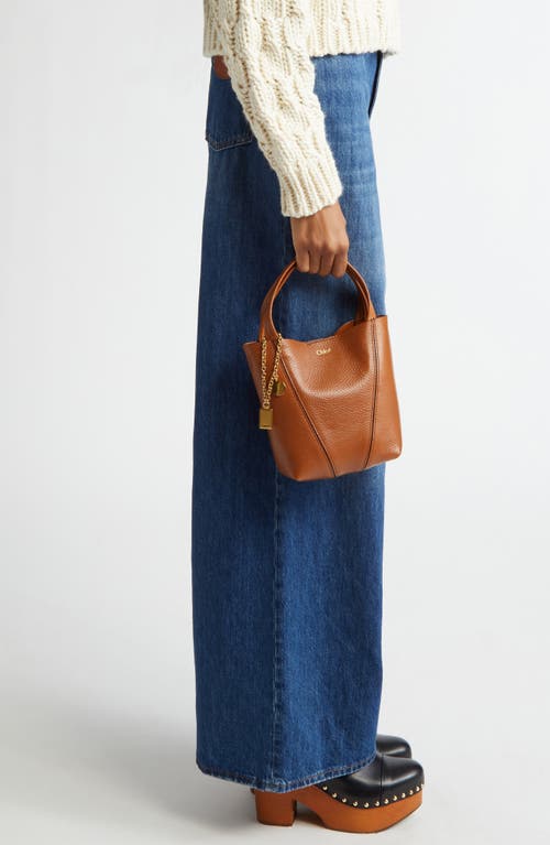 Chloé Small Spin Leather Crossbody Tote In Brown