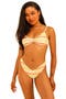  Hang Ten Stripe