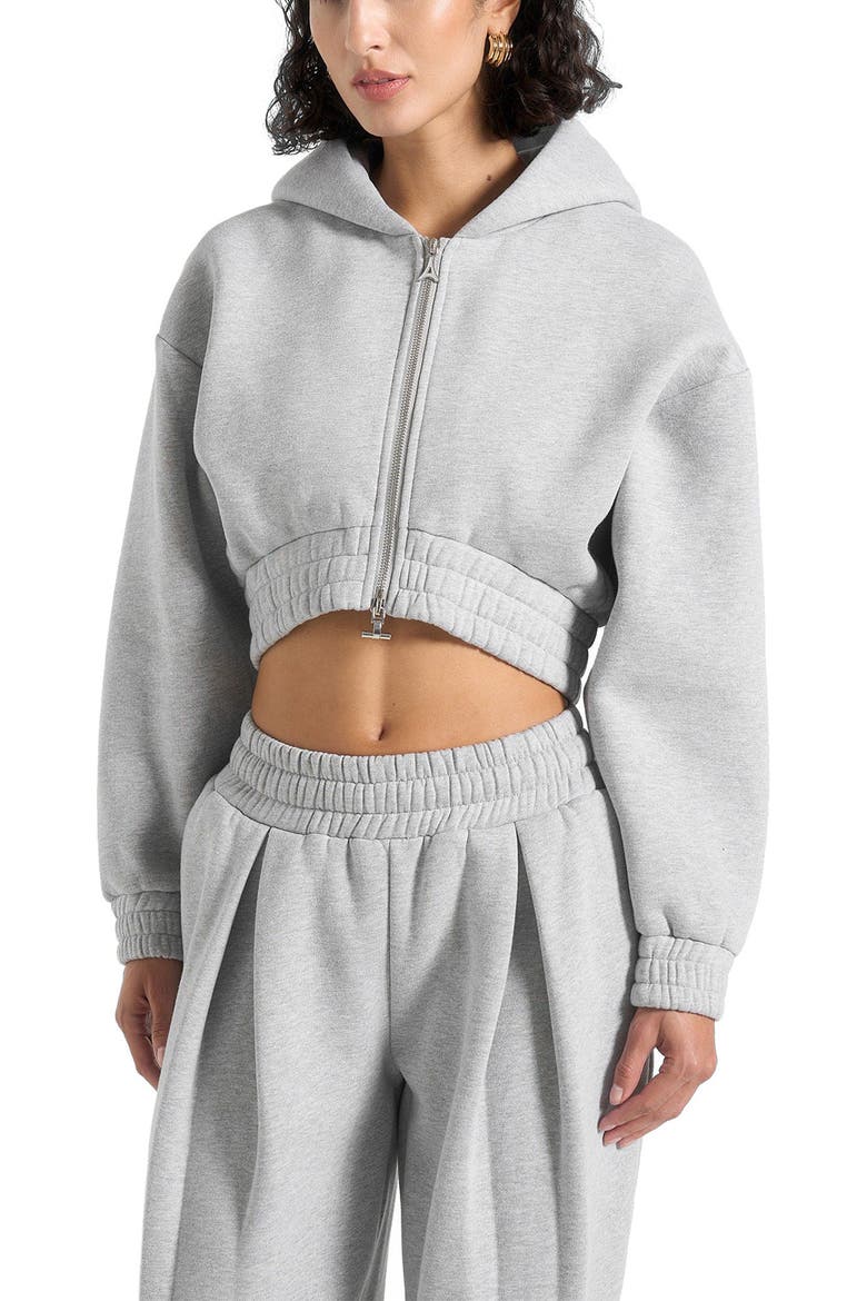 Josiane Relaxed Zip Through Hoodie, Alternate, color, Grey