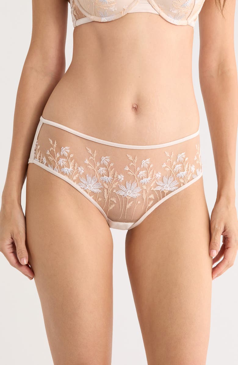 Etam Champetre Embroidered Satin & Mesh Briefs, Main, color, Dune