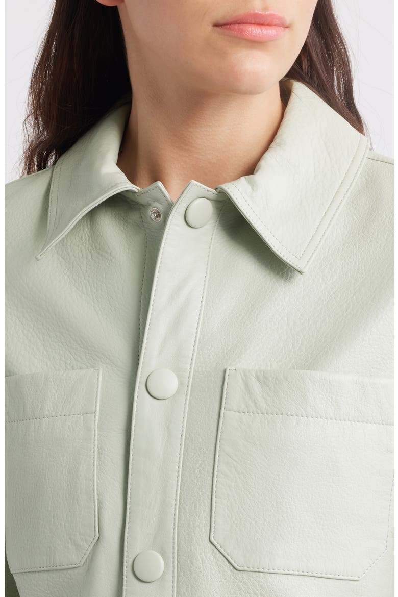 Crop Leather Jacket, Alternate, color, SOFT MINT
