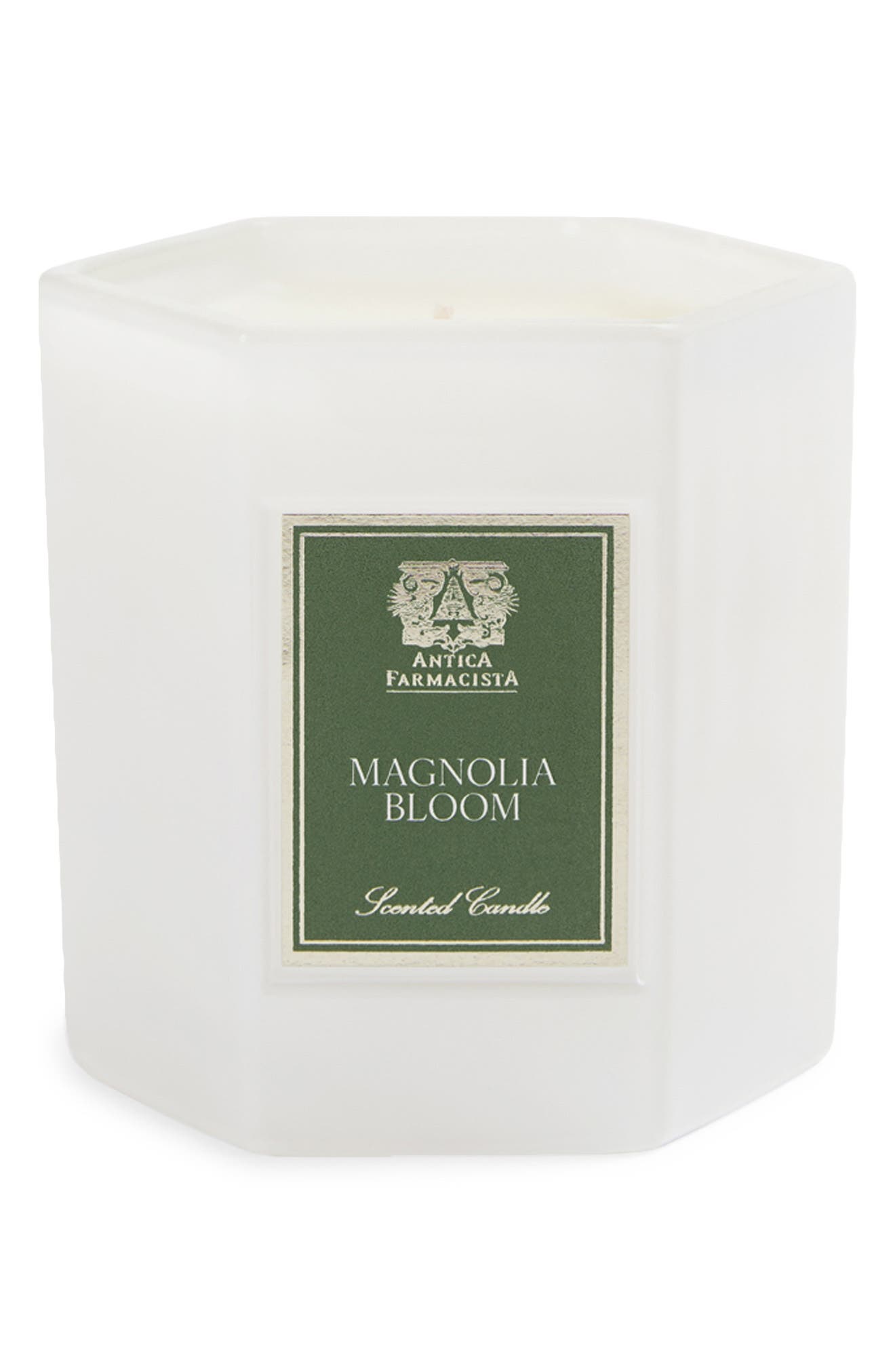 MAGNOLIA BLOOM