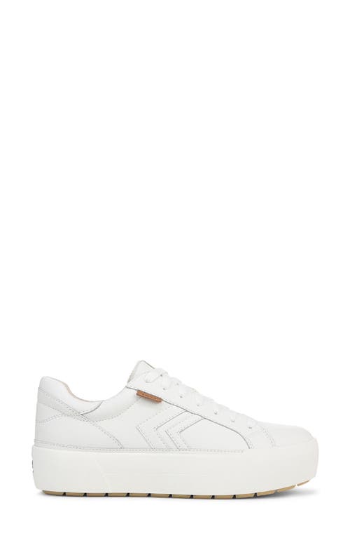 DR. SCHOLL'S DR. SCHOLL'S YOUNG & FREE SNEAKER