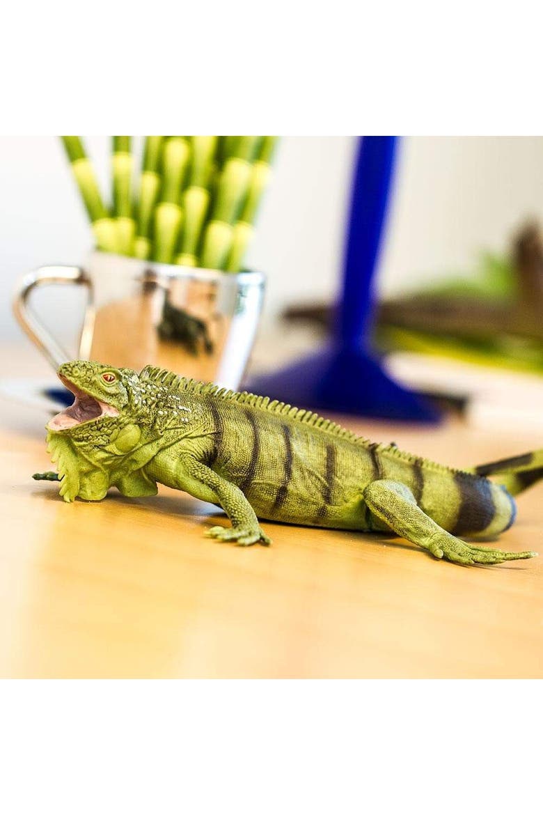 Iguana Toy, Alternate, color, No Color