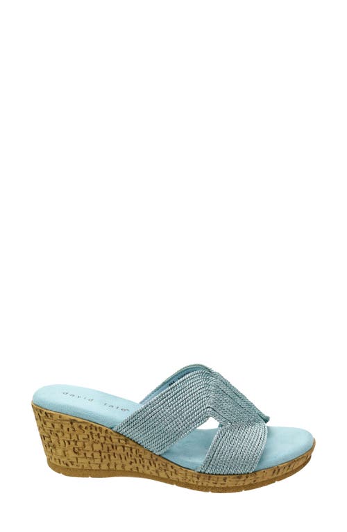 David Tate Vibe Wedge Slide Sandal In Sky