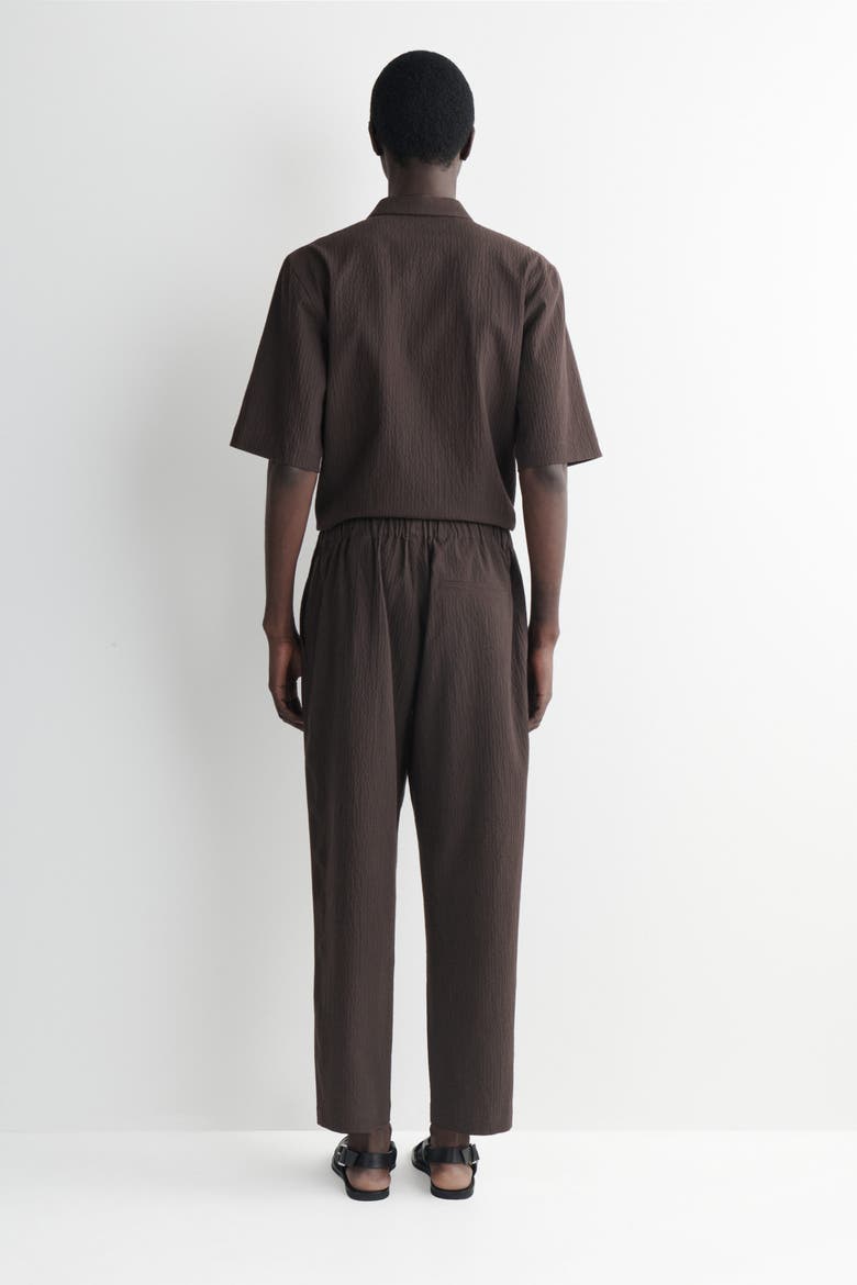 Seersucker Regular-fit Tapered Pants, Alternate, color, BROWN
