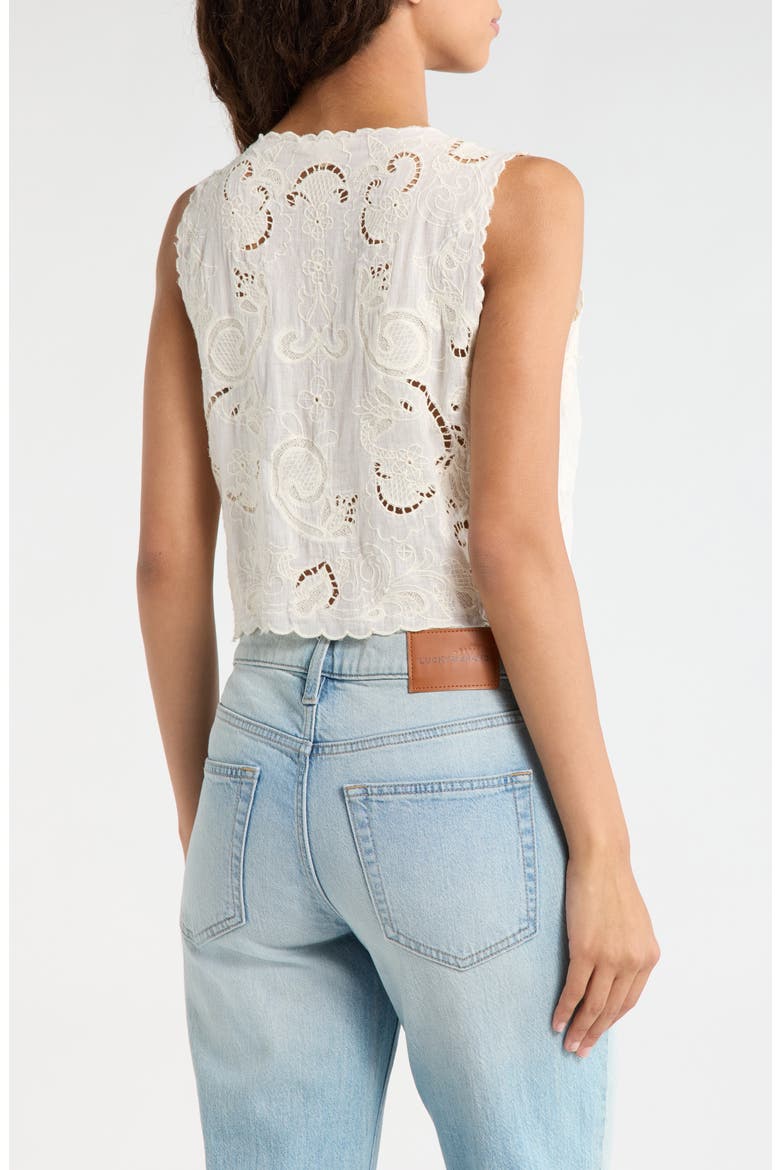 Lacey Flyaway Embroidered Cotton Tie Front Top, Alternate, color, CREAM