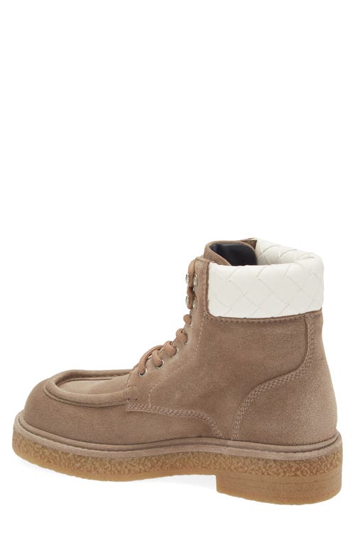 Bottega Veneta Suede Haddock Lace-up Boots In Driftwood/white