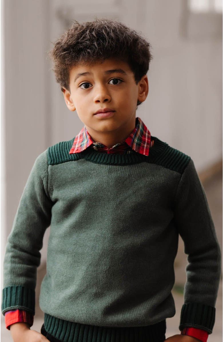 Hope & Henry Boys' Organic Shoulder Detail Crew Neck Sweater, Kids, Alternate, color, 