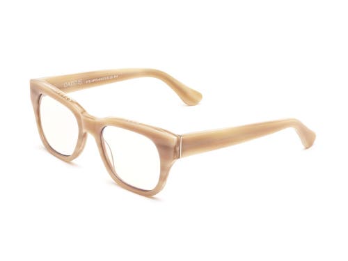 Caddis Miklos | Reading Glasses