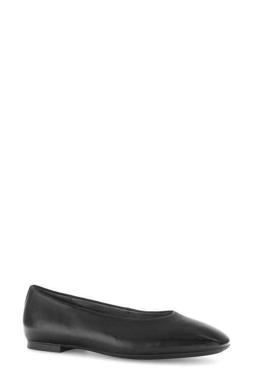 Gabor Square Toe Ballet In Black