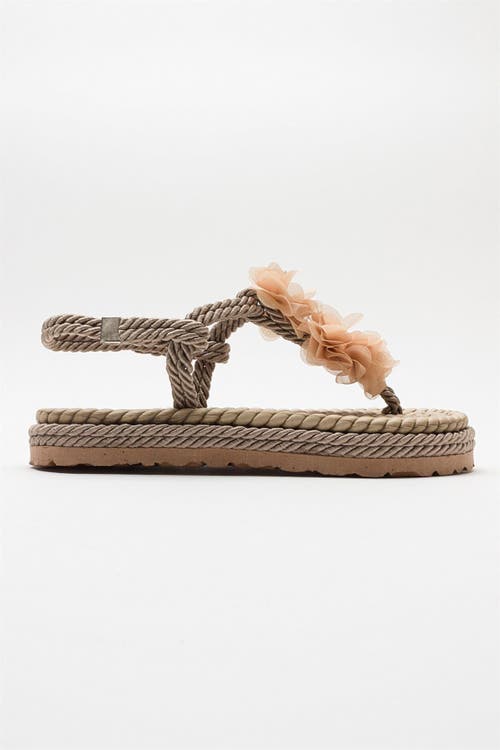 Prologue Shoes Santra Lace-up Thong Sandals