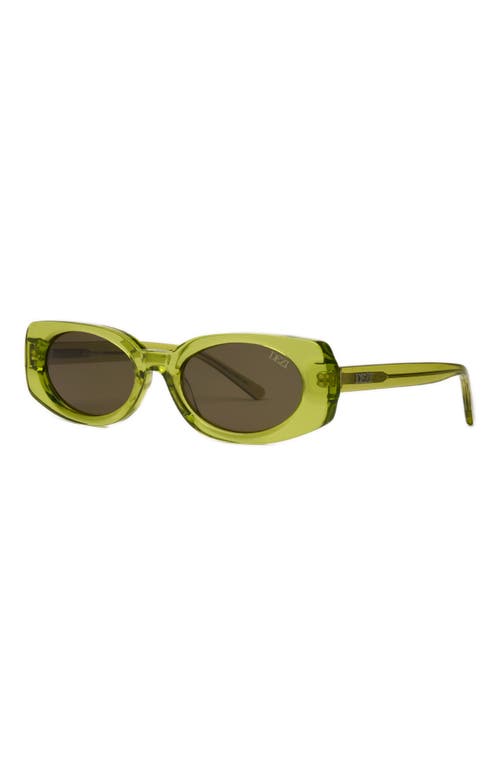 Dezi Booked 52mm Rectangular Sunglasses In Green