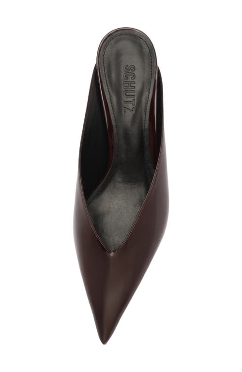 Schutz Loren Mule In Brown