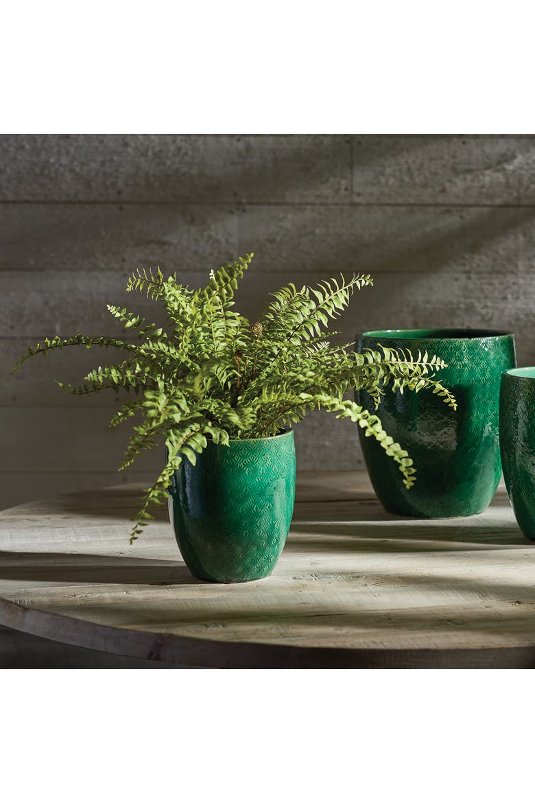 Boston Fern Drop-In 16", Alternate, color, Green