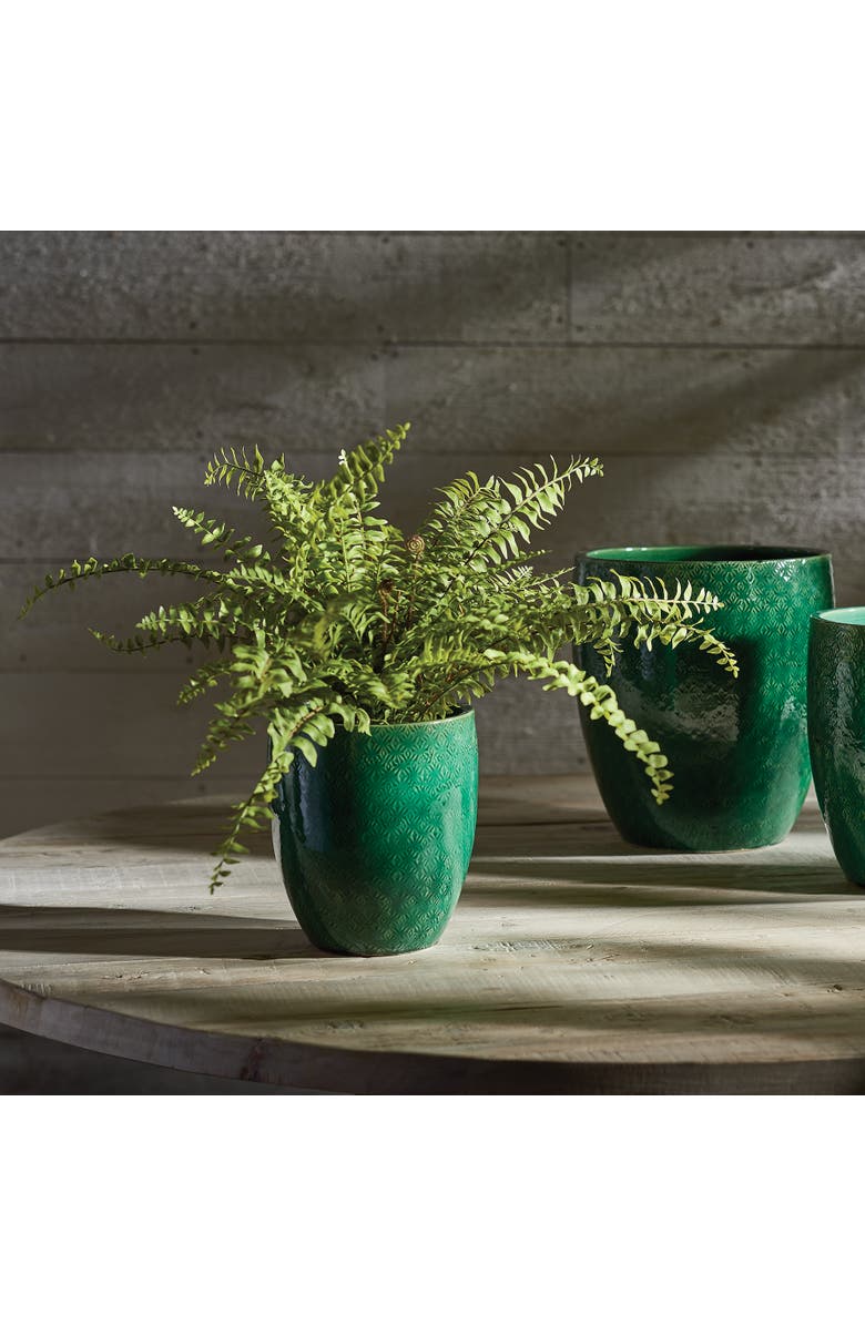 Napa Home & Garden Boston Fern Drop-In 16", Alternate, color,