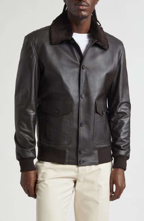 Thom Sweeney Leather Bomber Jacket With Genuine Shearling Collar In Brown