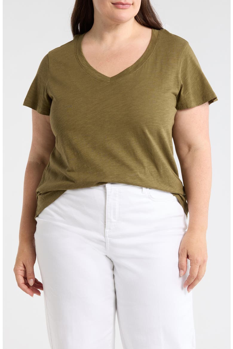 V-Neck T-Shirt, Main, color, BURNT OLIVE GREEN