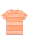  Goldfish White Stripe