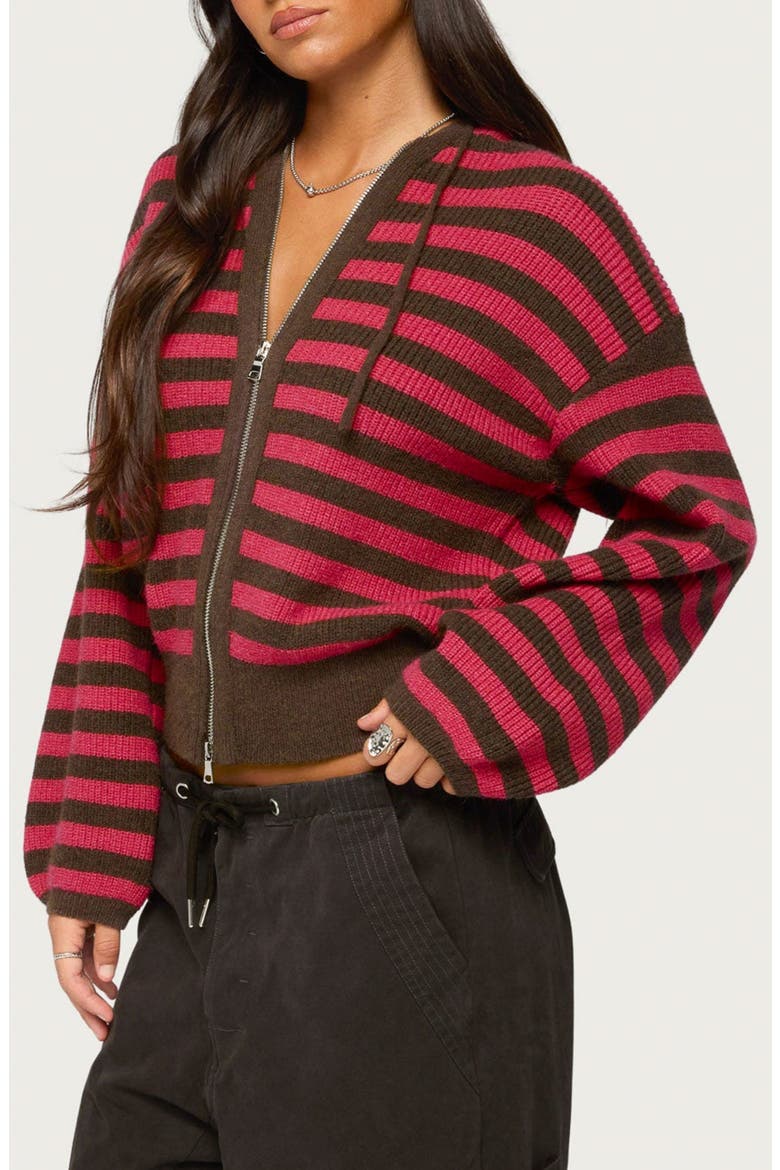 Cluny Striped Knit Zip Hoodie, Alternate, color, RED-AND-BROWN