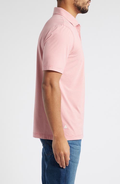 Scott Barber Micro Stripe Performance Polo In Pink