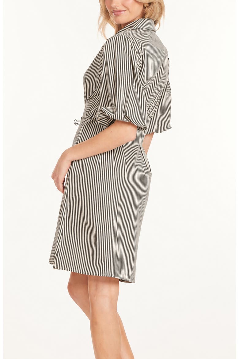 Jacqueline Bubble Slv Dress, Alternate, color, Black Stripe