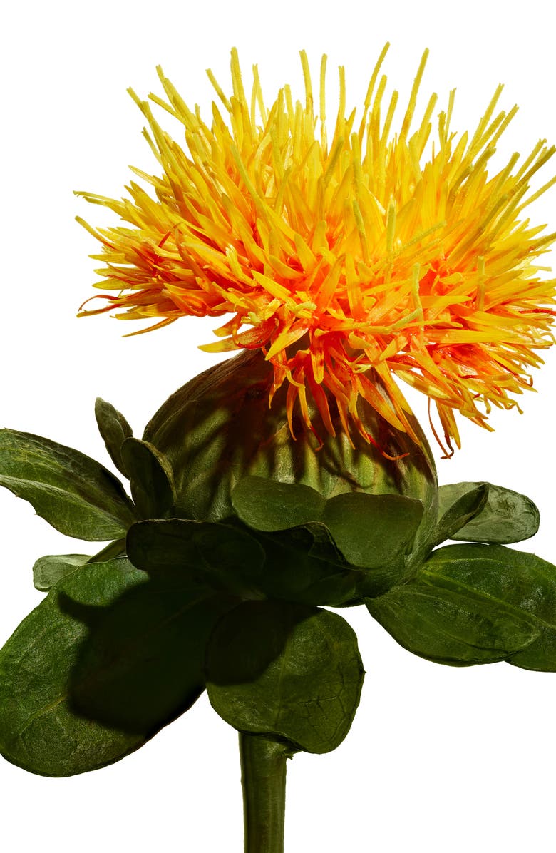 Shiseido Vital Perfection Uplifting and Firming Cream, Alternate, color, 