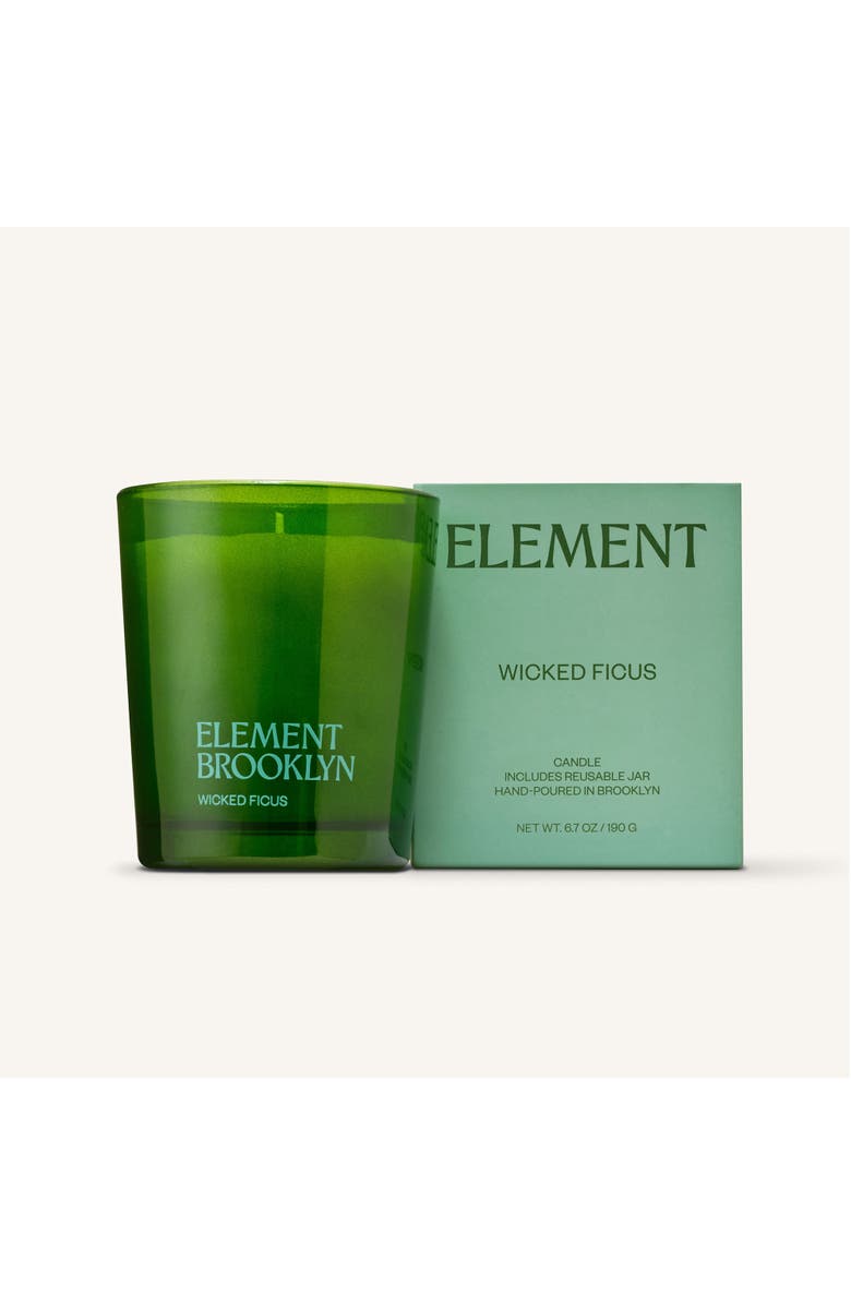 Element Brooklyn Wicked Ficus Candle, Alternate, color, Wicked Ficus