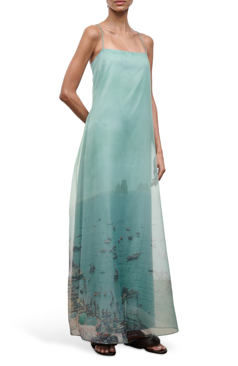 STAUD Delfina Print Organza Maxi Dress, Alternate, color, Endless Summer
