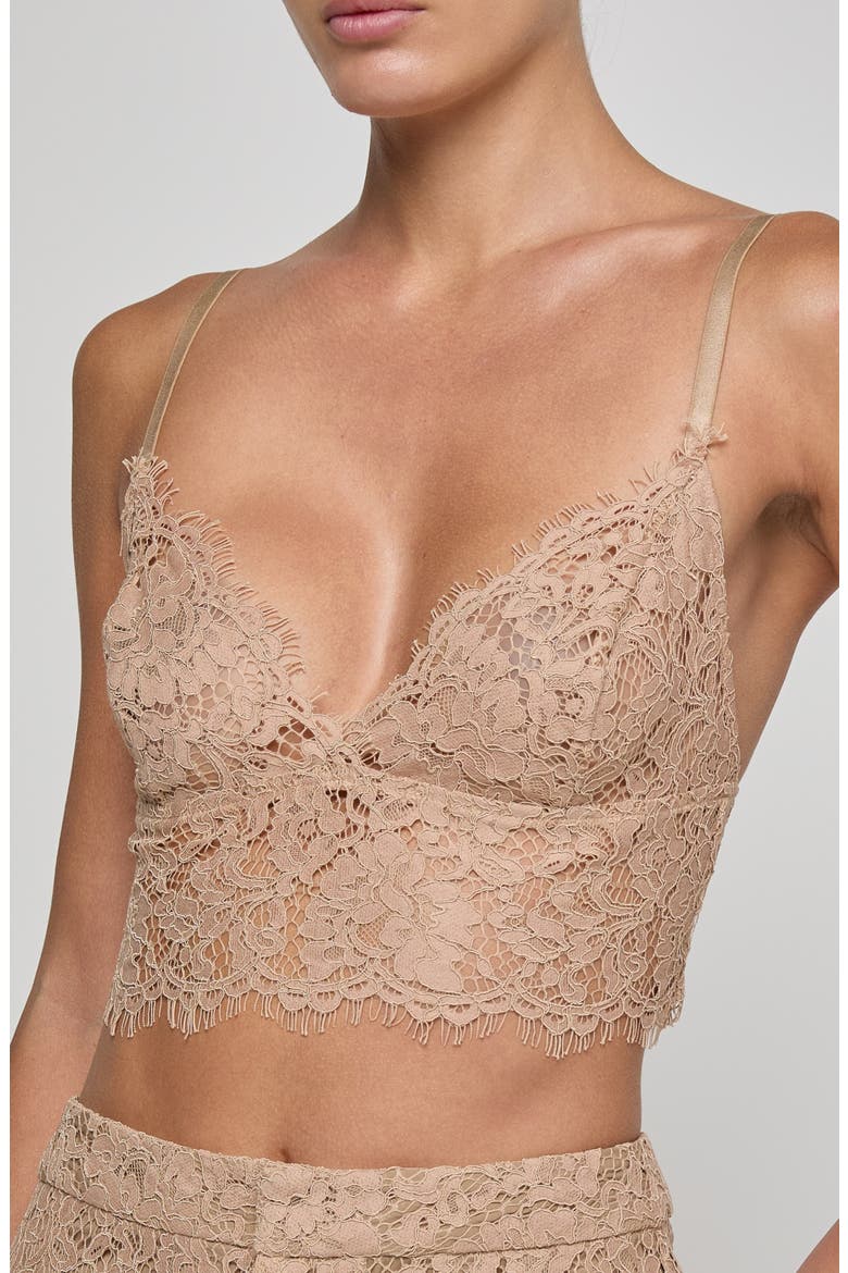 Aislin Lace Bralette Top, Main, color, CAPPUCCINO