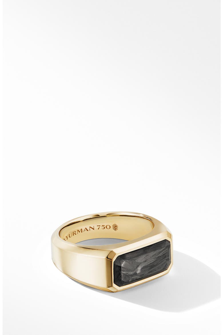 Forged Carbon Signet Ring in 18K Yellow Gold, Main, color, YELLOW GOLD/ FORGED CARBON