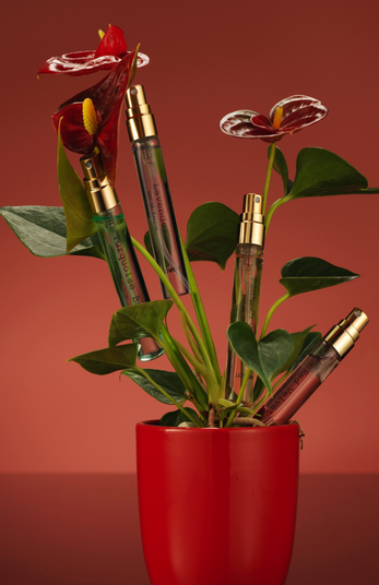 24-Pc. Limited Edition Luxury Eau de Parfum Gift Set