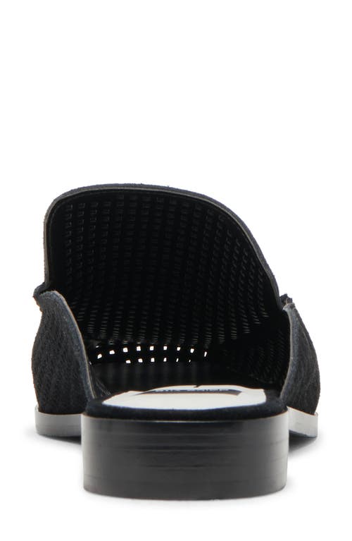 Dolce Vita Brevyn Perforated Mule In Onyx Perforated Suede