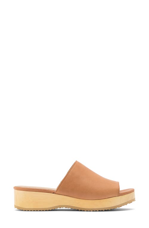 Eileen Fisher Novel Platform Slide Sandal In Cognac