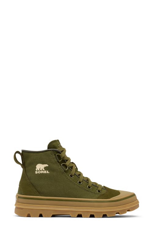 Sorel Scout N About™ Mid Sneaker In Utility Green/gum