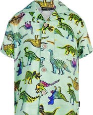 Rock Your Kid Kids' Dino Print Shirt